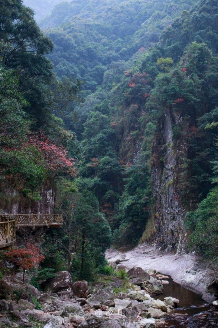 怎样晒茄子干游戏画面